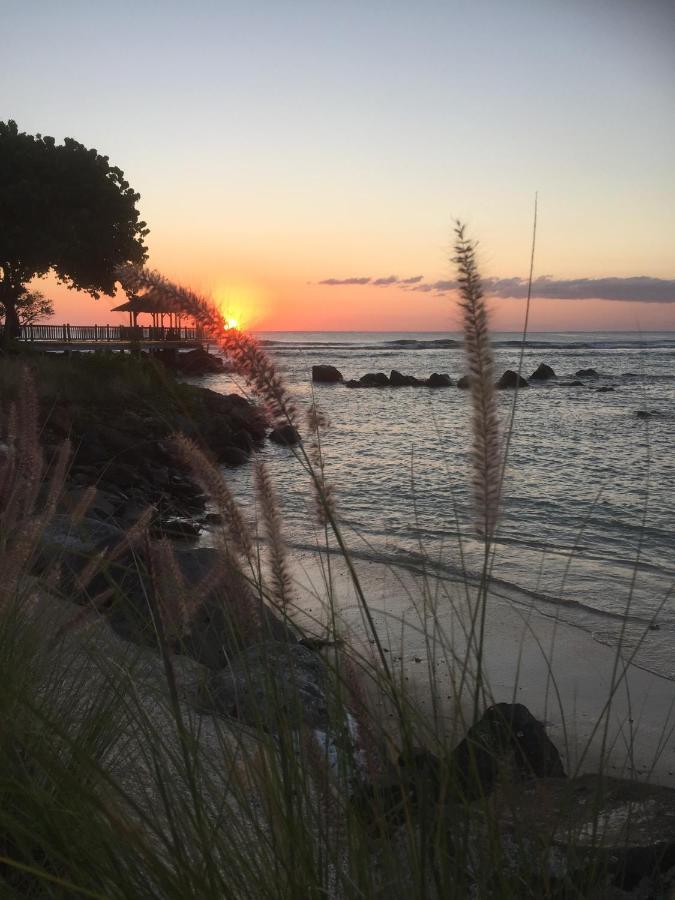Luxury At Royal Park Sandpiper